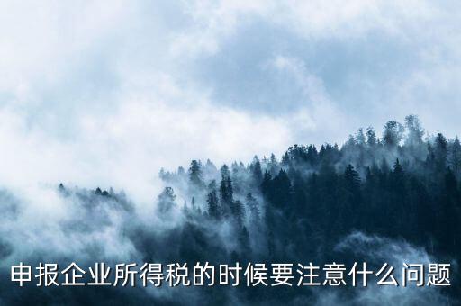 年度企業(yè)所得稅申報注意什么，申報企業(yè)所得稅的時候要注意什么問題