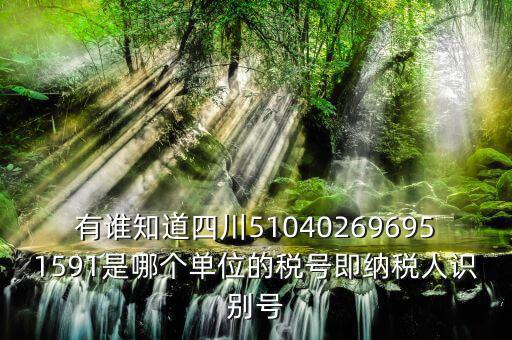 四川國稅廳帳號是什么，有誰知道四川510402696951591是哪個單位的稅號即納稅人識別號