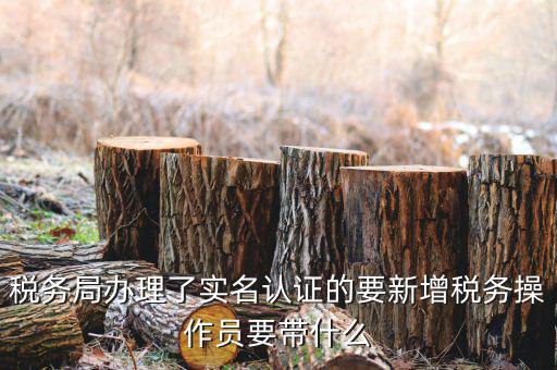 四川國(guó)稅局實(shí)名認(rèn)證需要什么資料，國(guó)稅發(fā)票認(rèn)證需要準(zhǔn)備那些資料 到大廳辦的時(shí)候工作人員叫我拿U盤