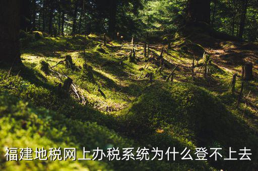 企業(yè)所得稅系統(tǒng)為什么登不上，福建地稅網(wǎng)上辦稅系統(tǒng)為什么登不上去