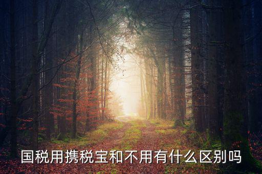 稅寶是什么，國稅用攜稅寶和不用有什么區(qū)別嗎