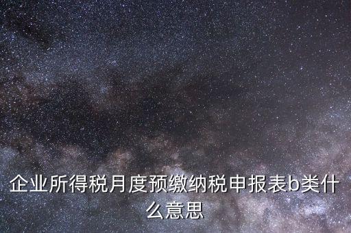 企業(yè)所得稅月度預(yù)繳納稅申報(bào)表b類什么意思