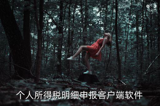 個人所得稅明細(xì)申報(bào)客戶端軟件