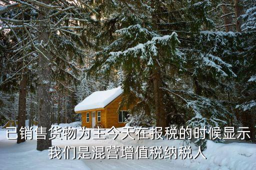 已銷(xiāo)售貨物為主今天在報(bào)稅的時(shí)候顯示我們是混營(yíng)增值稅納稅人