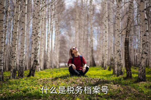 稅收檔案編號是什么，國稅檔案編號是什么