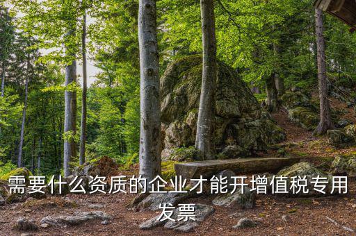 什么公司可以開增值稅專用發(fā)票，什么樣的企業(yè)才能開增值稅專用發(fā)票