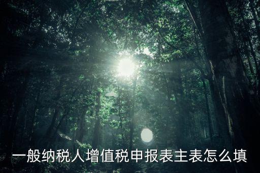 一般納稅人主表是什么，一般納稅人增值稅申報表主表怎么填