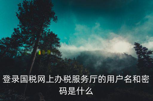 稅務(wù)查詢賬號密碼是什么意思，登錄國稅網(wǎng)上辦稅服務(wù)廳的用戶名和密碼是什么