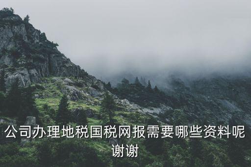 公司辦理地稅國(guó)稅網(wǎng)報(bào)需要哪些資料呢謝謝