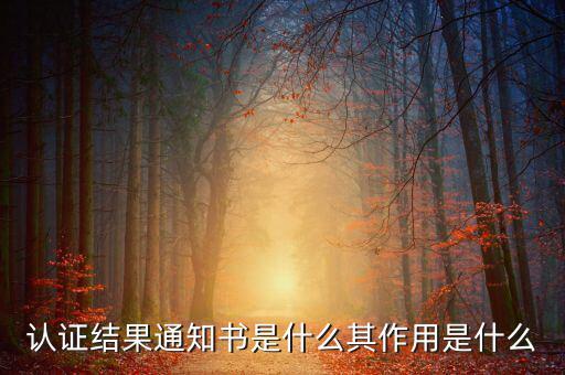 認證結(jié)果通知書是什么其作用是什么