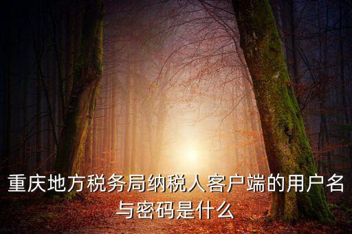 重慶國稅電子發(fā)票登錄密碼是什么，國稅局發(fā)票軟件里用戶代碼和密碼是什么