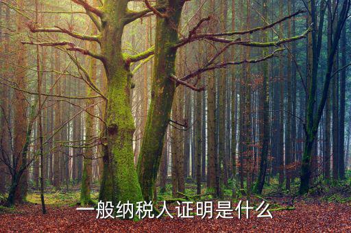 什么可以證明是一般納稅人，什么叫一般納稅人我如何辨別自己公司是否是一般納稅人