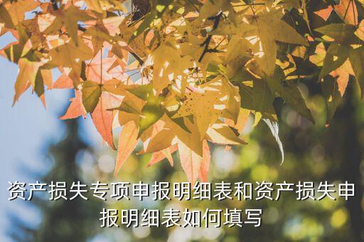 什么是專項資產損失申報表，所得稅申報表怎么填22資產損失