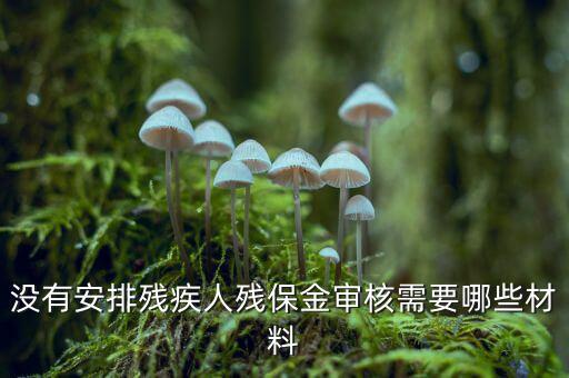 福建殘保金備案需要什么資料，求助2012年殘保金申請流程