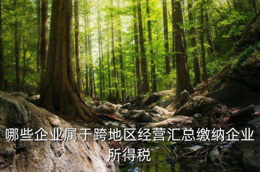 跨地區(qū)經(jīng)營(yíng)匯總納稅指的是什么，哪些企業(yè)屬于跨地區(qū)經(jīng)營(yíng)匯總繳納企業(yè)所得稅