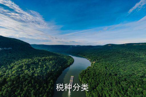 鋁制品稅收分類屬于什么，鋁蓋屬于稅收分類的哪一種