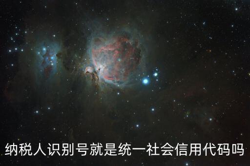什么是納稅人統(tǒng)一社會信用代碼是什么，納稅人識別號就是統(tǒng)一社會信用代碼嗎