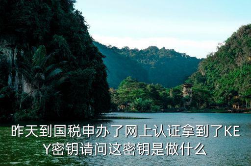 昨天到國稅申辦了網上認證拿到了KEY密鑰請問這密鑰是做什么
