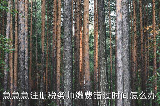 廣東省稅務(wù)師會費(fèi)什么時候交，廣州2013年的匯算清繳報告什么時候交