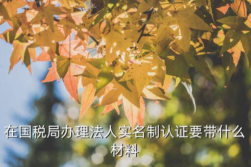 實名制辦稅員辦理需要什么資料，辦稅員證要帶什么資料