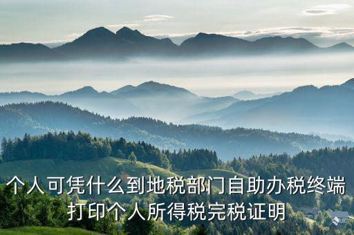 稅務局自助辦稅服務終端是什么，自助辦稅終端 報稅