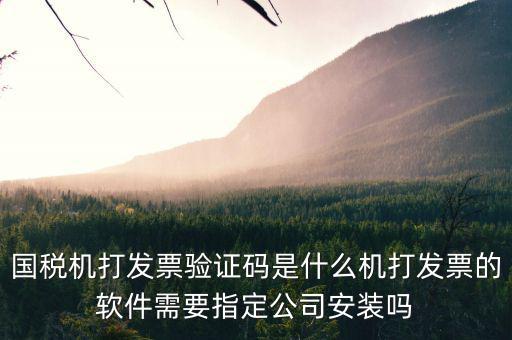 北京國稅電子發(fā)票驗(yàn)證密碼是什么，國稅局發(fā)票軟件里用戶代碼和密碼是什么
