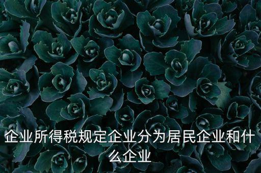 企業(yè)所得稅規(guī)定企業(yè)分為居民企業(yè)和什么企業(yè)