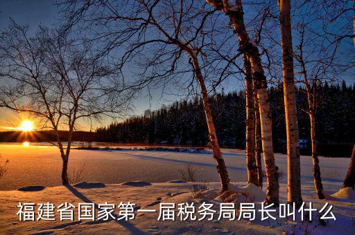 福建省國家第一屆稅務局局長叫什么