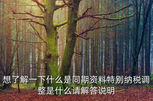關(guān)聯(lián)申報(bào)同期資料是什么，想了解一下什么是同期資料特別納稅調(diào)整是什么請(qǐng)解答說明