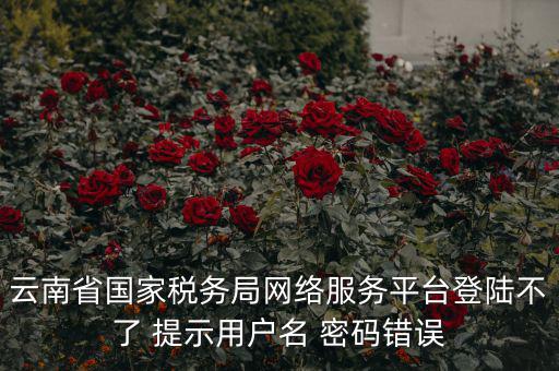 云南稅控服務平臺的網(wǎng)址是什么，云南國稅開票系統(tǒng)網(wǎng)址