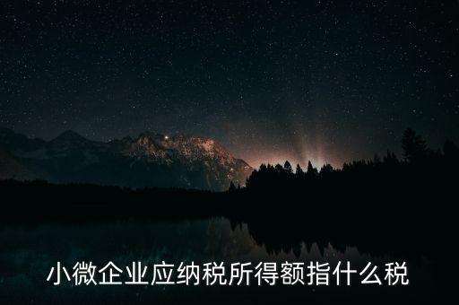 小微企業(yè)繳納什么稅，小型微利企業(yè)有什么稅要交