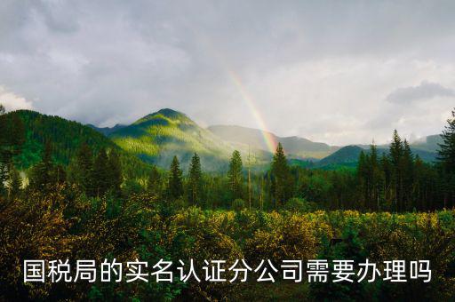 四川國(guó)稅局實(shí)名認(rèn)證需要什么手續(xù)，在國(guó)稅局辦理法人實(shí)名制認(rèn)證要帶什么材料