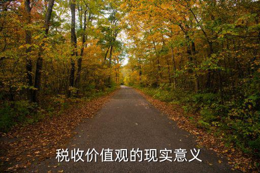 稅務(wù)精神凝聚著什么用，稅收價(jià)值觀的現(xiàn)實(shí)意義