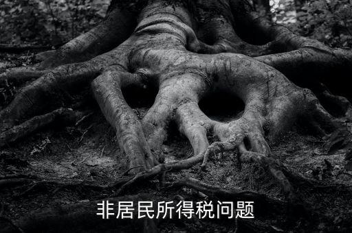 有什么是非居民企業(yè)，個(gè)私企業(yè)的范圍除了個(gè)體戶還包括哪些性質(zhì)的企業(yè)