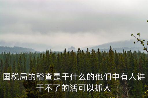 國稅局查什么的，國稅局的稽查是干什么的他們中有人講干不了的活可以抓人