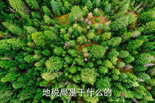 地稅主要負(fù)責(zé)什么工作總結(jié)，地稅局一般做什么工作啊