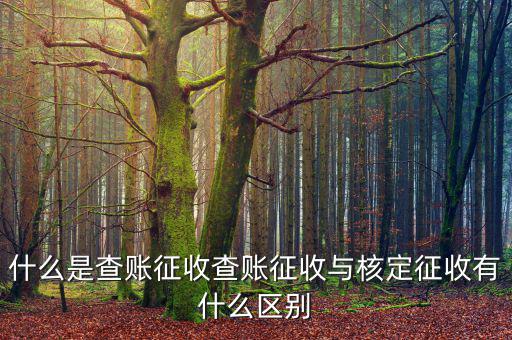什么是查賬征收和核定征收，查賬征收與核定征收的區(qū)別是什么