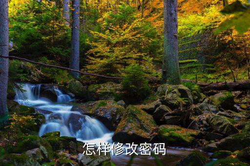 怎樣改國(guó)稅密碼是什么，山東省國(guó)家稅務(wù)局網(wǎng)上辦稅平臺(tái)納稅人的密碼怎么改