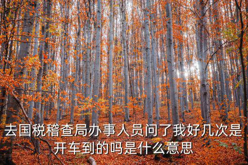 國稅說需要運(yùn)維是什么意思，什么條件需要辦理國稅我是一個(gè)月收入2千左右的維修小檔口也要輸