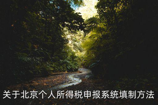 關(guān)于北京個人所得稅申報系統(tǒng)填制方法