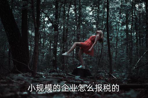 小規(guī)模納稅人如何申報(bào)，小規(guī)模增值稅申報(bào)流程