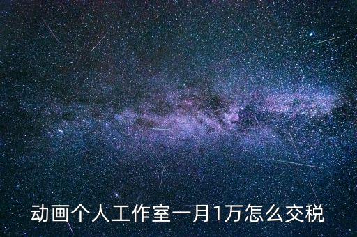 工作室如何繳納個稅，動畫個人工作室一月1萬怎么交稅