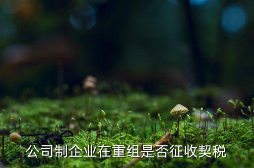 企業(yè)改制契稅減免如何辦理，公司制企業(yè)在重組是否征收契稅