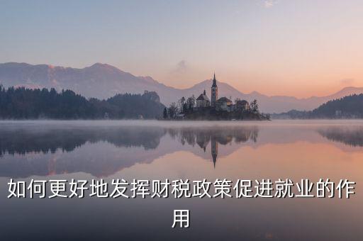 如何更好地發(fā)揮財(cái)稅政策促進(jìn)就業(yè)的作用