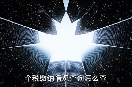 如何查詢個(gè)稅申報(bào)情況，個(gè)稅繳納情況查詢?cè)趺床?/></a></span><span id=