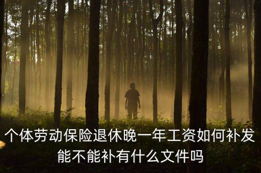 如何補發(fā)工資，個體勞動保險退休晚一年工資如何補發(fā)能不能補有什么文件嗎