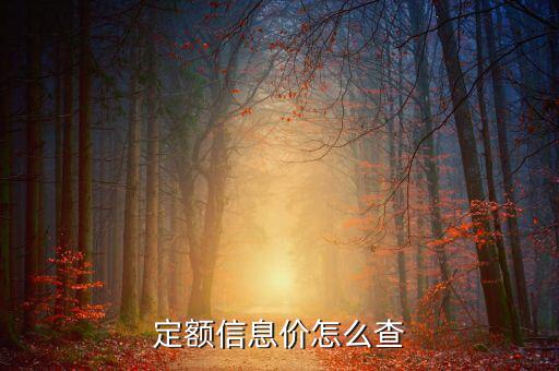 如何查定額，工程定額在哪里能找到啊