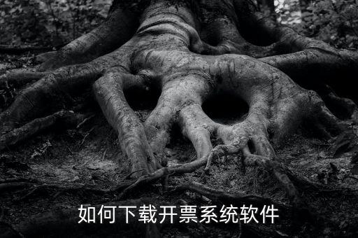 發(fā)票軟件如何下載軟件，怎么安裝稅控發(fā)票開票軟件v20