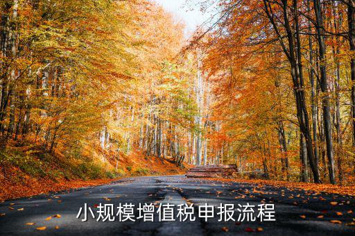 小規(guī)模納稅人 如何申報(bào)，小規(guī)模增值稅申報(bào)流程
