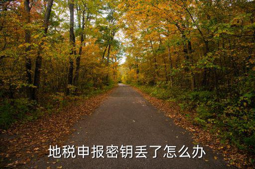 武漢地稅密鑰如何補(bǔ)辦，地稅報(bào)稅key掉了補(bǔ)辦需要什么手續(xù)要多少錢
